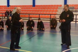Seminar taught in the City of Sax, Alicante, Spain, April 2017